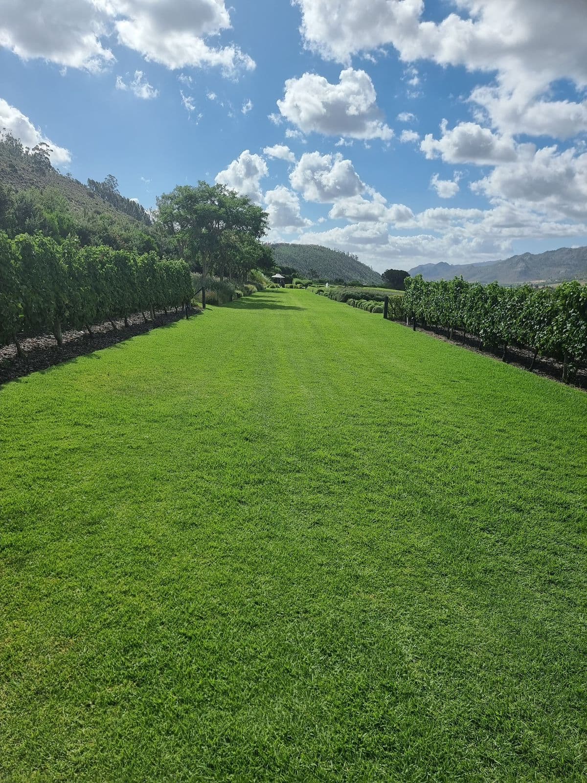 Garden Route Adventure