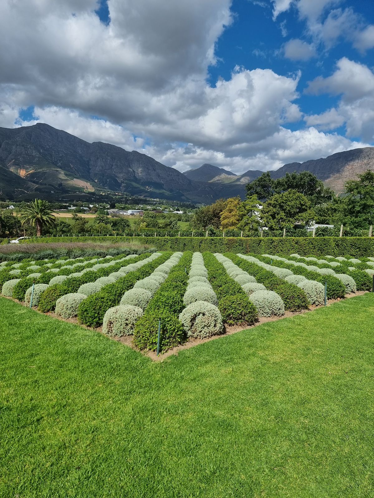Full-Day Wine Tour