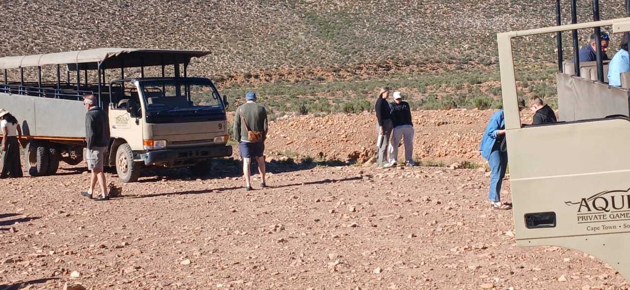 Aquila Big Five Safari — photo 4