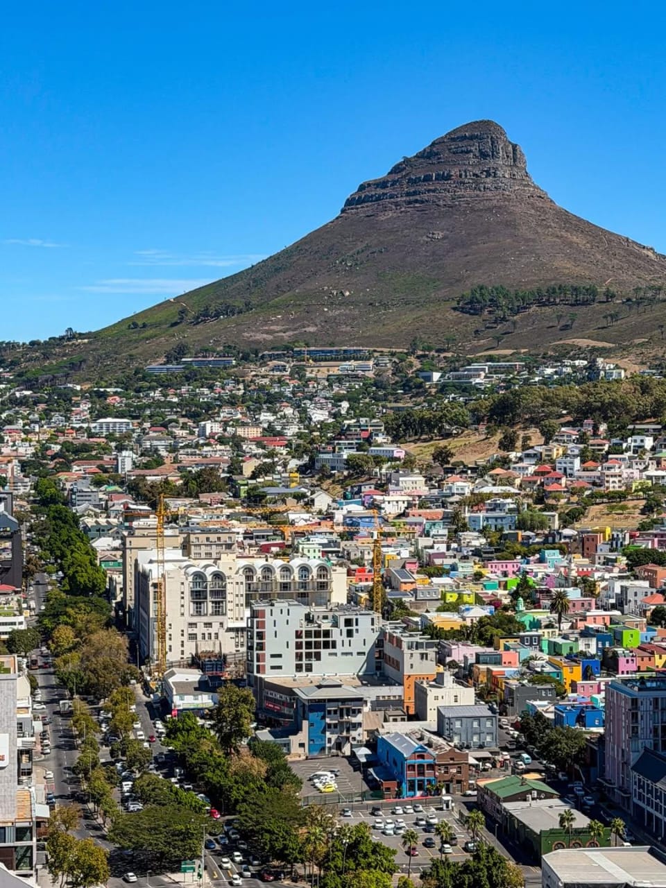 Table Mountain & City Tour — photo 2